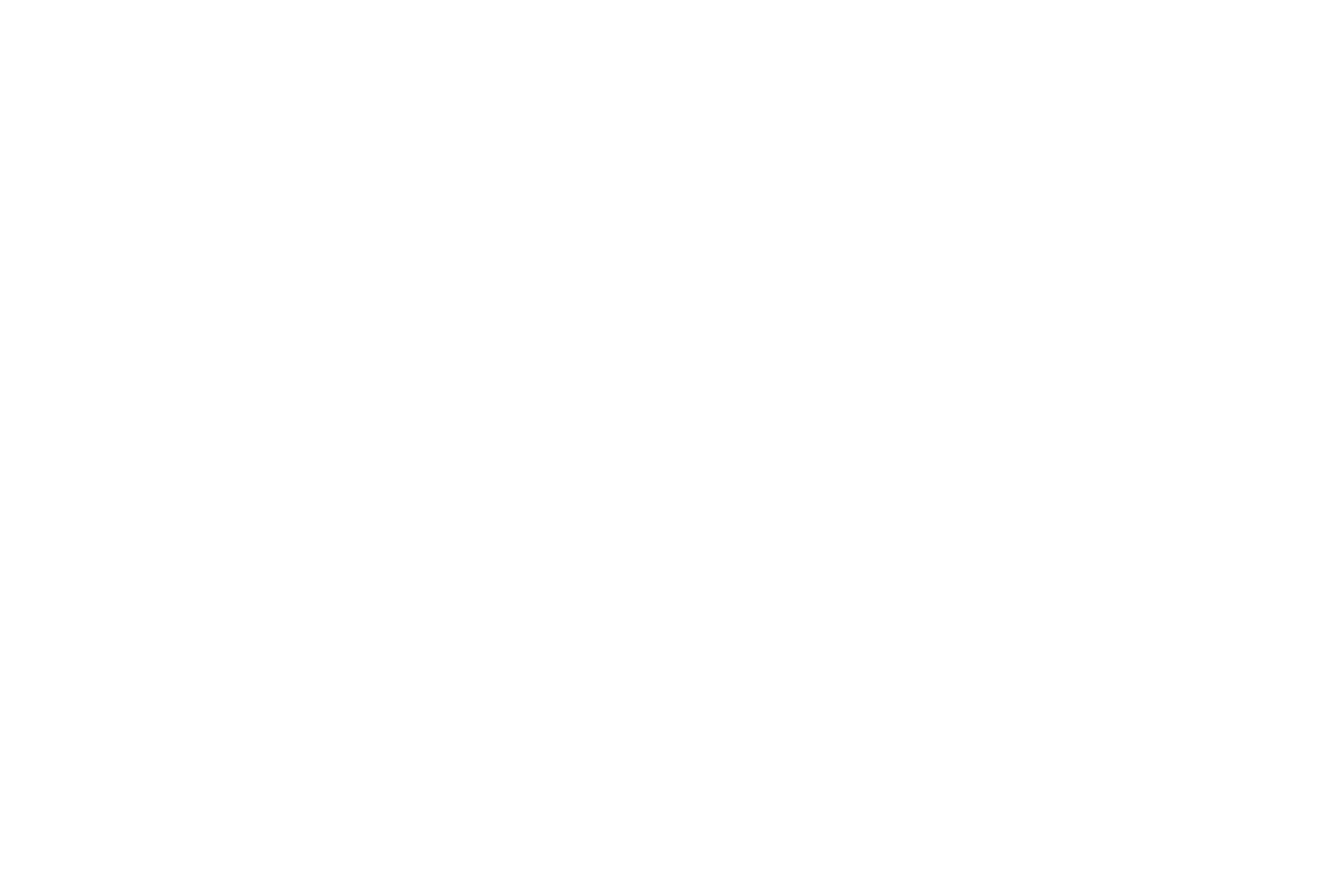 Andrew Li Photography